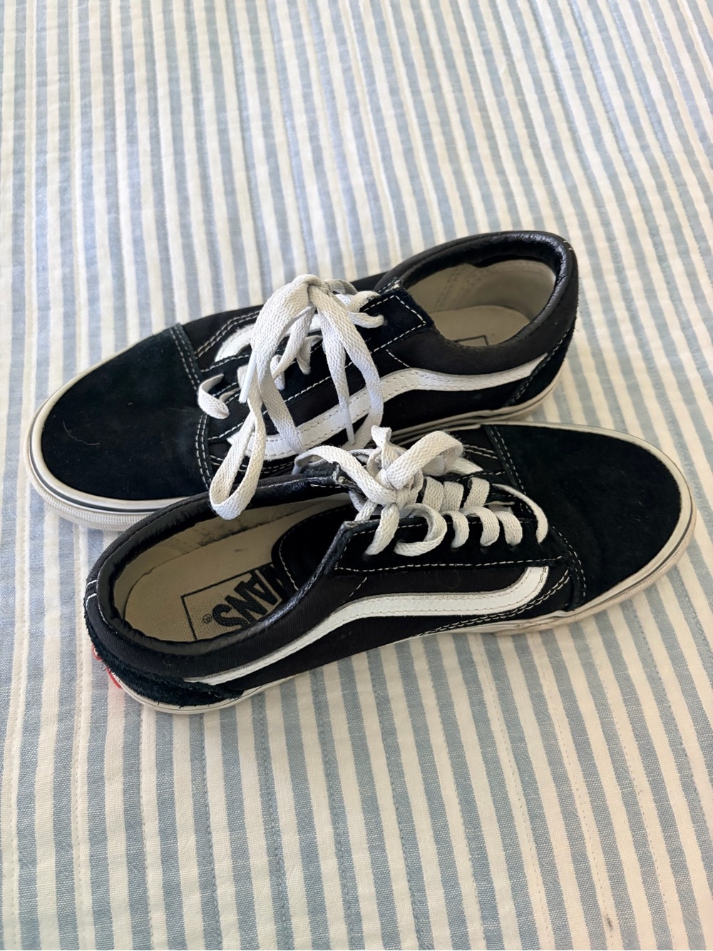 Vans Black & White Low-Top Skate Sneakers